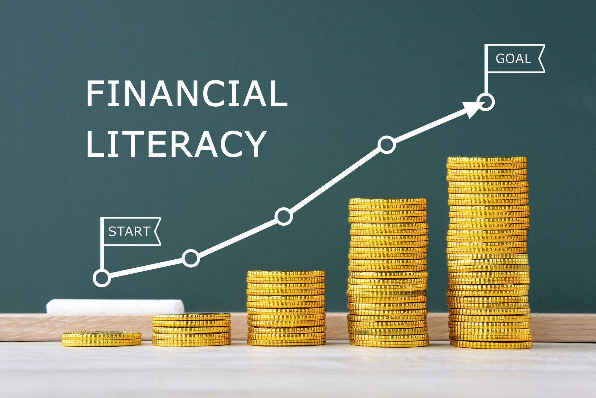 Promoting Financial Literacy: Educating Students for Financial Independence